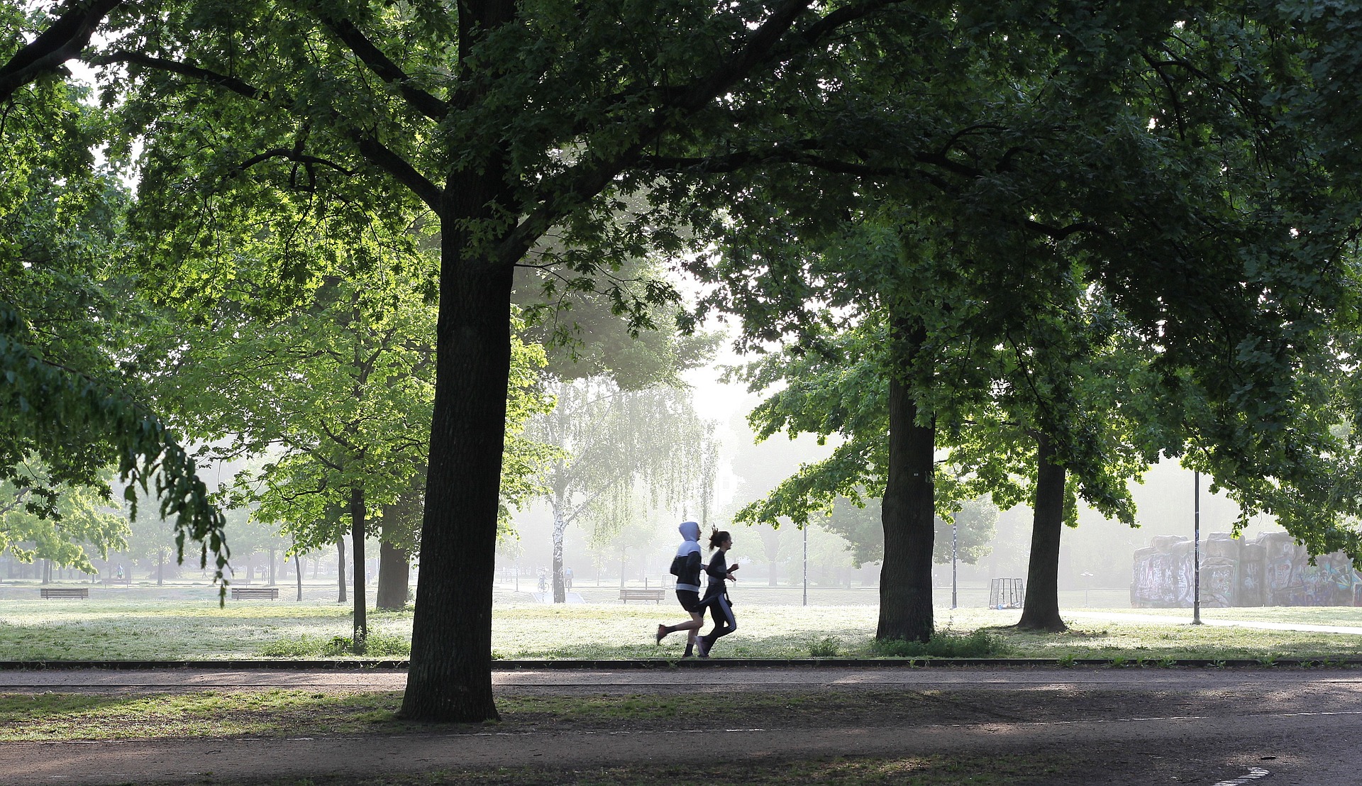 緑道をジョギングをする2人の人